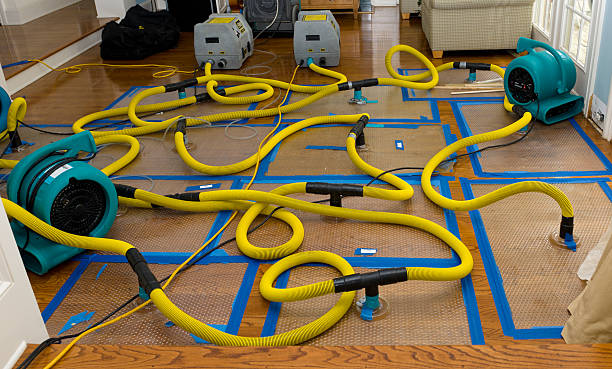 Professional Crawl Space Water Removal technician working in Spirit Lake, ID